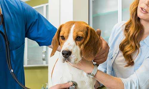 Medically Supervised Stay Information