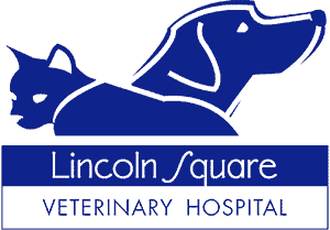 Lincoln Square Veterinary Hospital